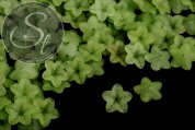 20 Stk. grüne Acryl-Blüten frosted 18mm-20
