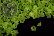 20 Stk. grüne Acryl-Blüten frosted 13mm-20