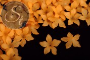 10 Stk. orange Acryl-Blüten frosted 29mm-20