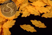 10 Stk. orange Acryl-Blätter frosted 43mm-20