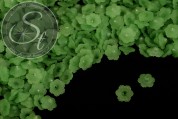 20 Stk. grüne Acryl-Blüten frosted 12mm-20