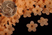 10 Stk. orange Acryl-Blüten frosted 24,5mm-20