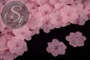10 Stk. rosa Acryl-Blüten frosted 30mm-20