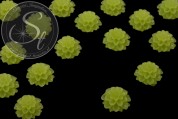 2 Stk. hellgrüne Blumen Cabochons frosted 20mm-20