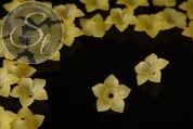 5 Stk. gelbe Acryl-Blüten frosted 34mm-20