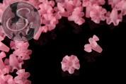 5 Stk. rosa Acryl-Blüten frosted 20mm-20