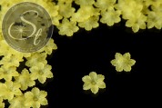 20 Stk. gelbe Acryl-Blüten frosted 21mm-20