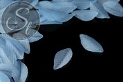 10 Stk. hellblaue Acryl-Blätter frosted 35mm-20